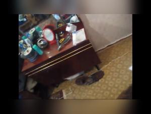 Bestial delights: Dog fucking and intense orgasms