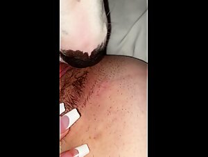 Bestial Delights: Dog