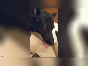 Bestial Delights: Explore the dark side of the libido