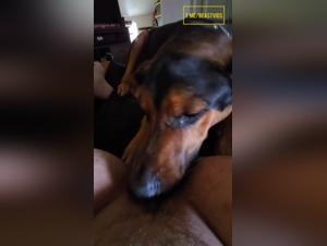 Bestial Delights: Female Submission and Canine Fuck