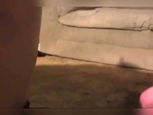 Bestial Delights: French Mature Women Embraced by Bestiality