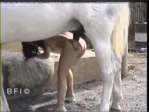 Bestial Delights: Girls and Dogs in Erotic Action