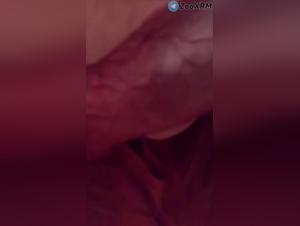 Bestial Delights: Hardcore Revealed