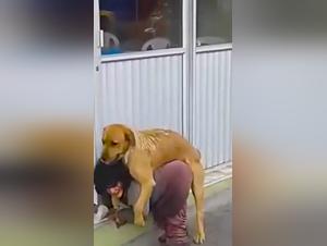 Bestial delights: little girl and dog in feverish orgy