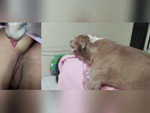 Bestial Delights: Part 1 of Canine Delirium