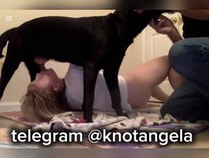 Bestial delights: sucking canine cum