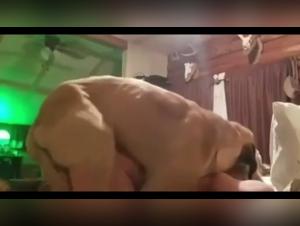 Bestial delights: The limits of desire erased