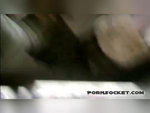 Bestial Delights: Uncontrollable Canine Domination