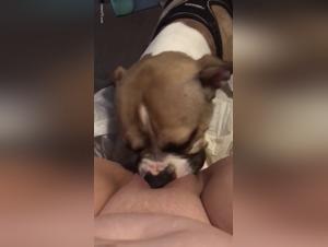 Bestial Delights: Women and Dogs in a Forbidden Dance of Passion