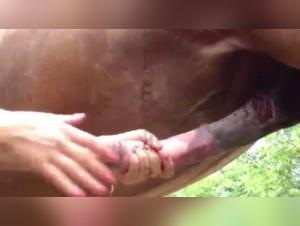 Bestial Delights: Women and Horse, a Wild Liaison