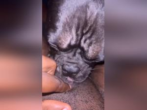 Bestial desire, drive body