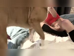 Bestial Desire: Sonya Blonde Gives Herself to a Merciless Mastiff