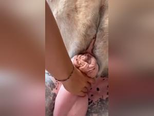 Bestial exploration: pink mare & prohibited pleasure