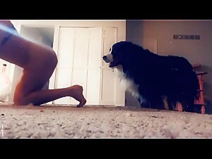 Bestial fantasies: absolute canine dominance