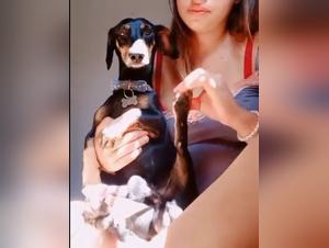 BestIal fantasies: Explore animal incest