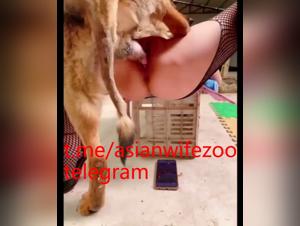 Bestial fantasies of the extreme east