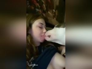 Bestial freedom: canine orgies and exacerbated impulses