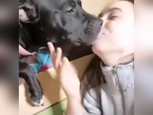 Bestial fury: Doggystyle prohibited and intense