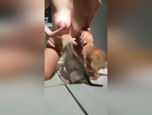 Bestial fusion: breastfeeding and wild sex