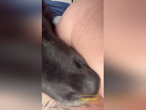 Bestial licking: transgress the boundaries of desire