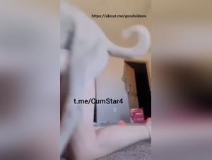 Bestial Obsession: Teens and Dogs in Sexual Chaos