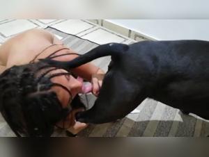 Bestial orgies: uncontrollable canine debauchery