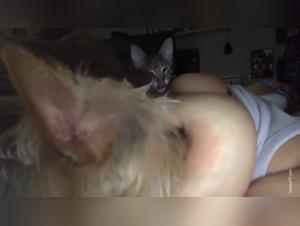 Bestial orgies, uncontrollable desire