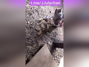 bestial pleasure: juli 7 reveals her desires