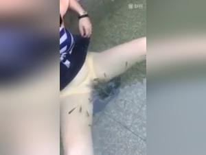 Bestial Sensation: Demonic Women and Dog