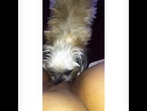 Bestial Sex with Dog: Explore the Exhilaration