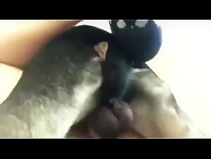 Bestial: Slut and her Dog