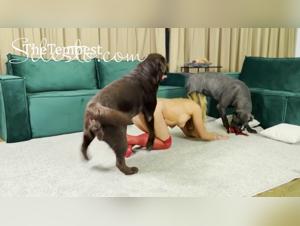 Bestiale delight with Veronica