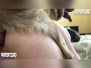 Bestiale fuck nana protocolo z: hardcore visions