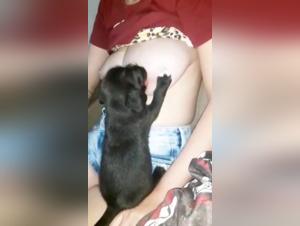 Bestiale orgies: Breed breasts and animal desire