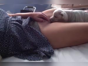 Bestiale tenderness: haunting lick of a dog