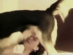 Bestiales Canine Dating