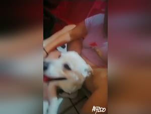 Bestiales orgies: Brute dominaion