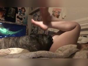 Bestiales orgies: Wild dogs and uncontrolled desire