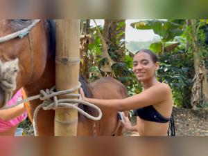 Bestiality and extreme animal pleasure