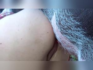 Bestiality at the New York Maid, a breathtaking animal sex episode