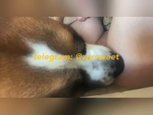 Bestiality fantasies: deep and uncontrollable licking