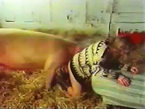 Bestiality Free Porn Videos