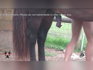 Bestiality Fucked: When human desire meets animality