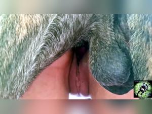 Bestiality Scenes: Woman Fucks Her Dog
