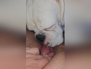 Bestiality Sex: video of a slutty Arab girl with her dog