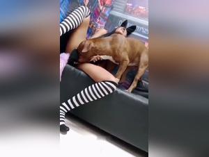 Bestiality taboo video with dog