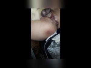 Bestiality: The dog XXX videos you are looking for