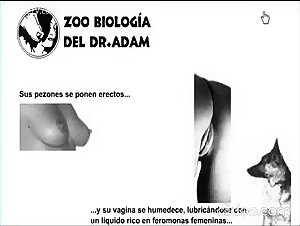 Bestiality Training: Learn Dog Sex Techniques