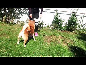 Bestiality videos: animal porn tube