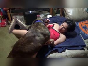 Bestiality videos of girls with dogs